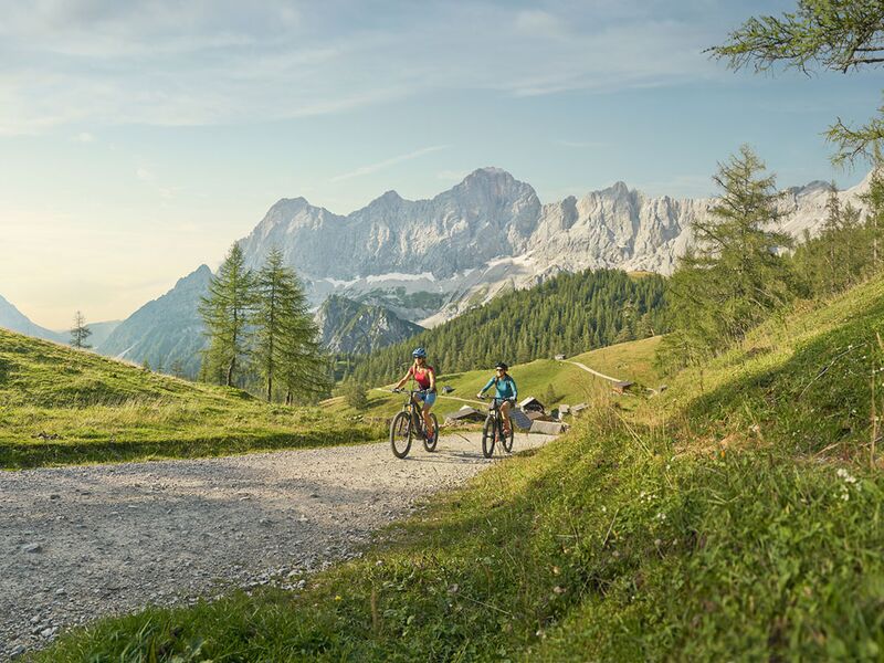 e fahrrad mit rahmenhöhe 40 schwab